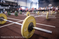 Wallfoto_CFweb_160717_472 Wallfoto_CFweb_160717_472