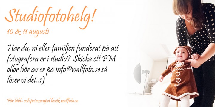 WallfotoStudioAnnons130802wide