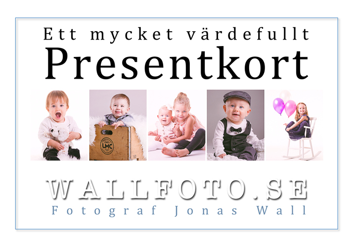 WF_presentkort2014_web